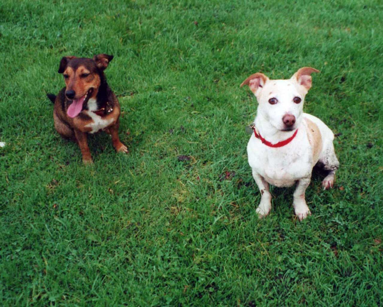 jack and jill